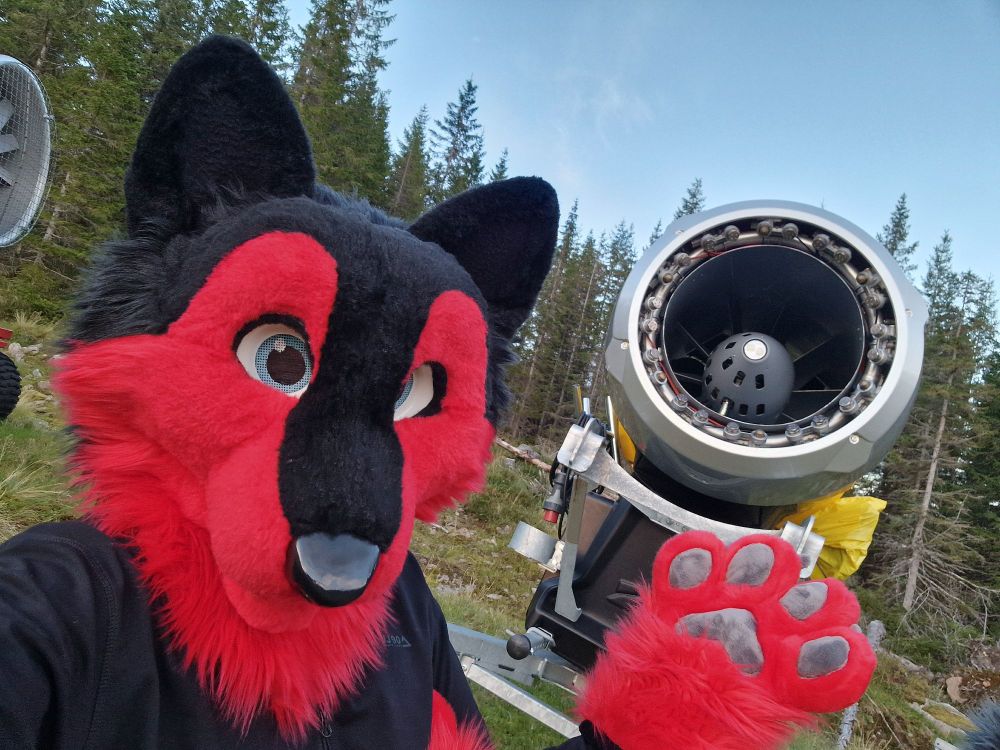 Red/Black wolf posing in front of a snow cannon in a ski/alpine center