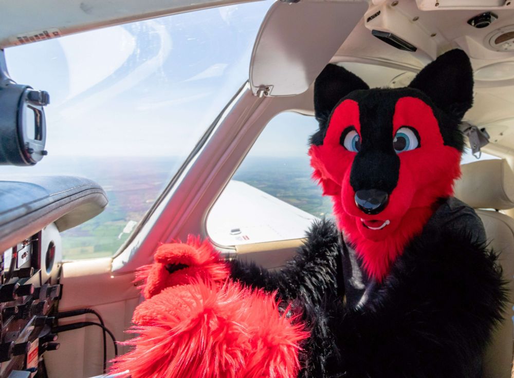Red/Black wolf controlling a plane in air