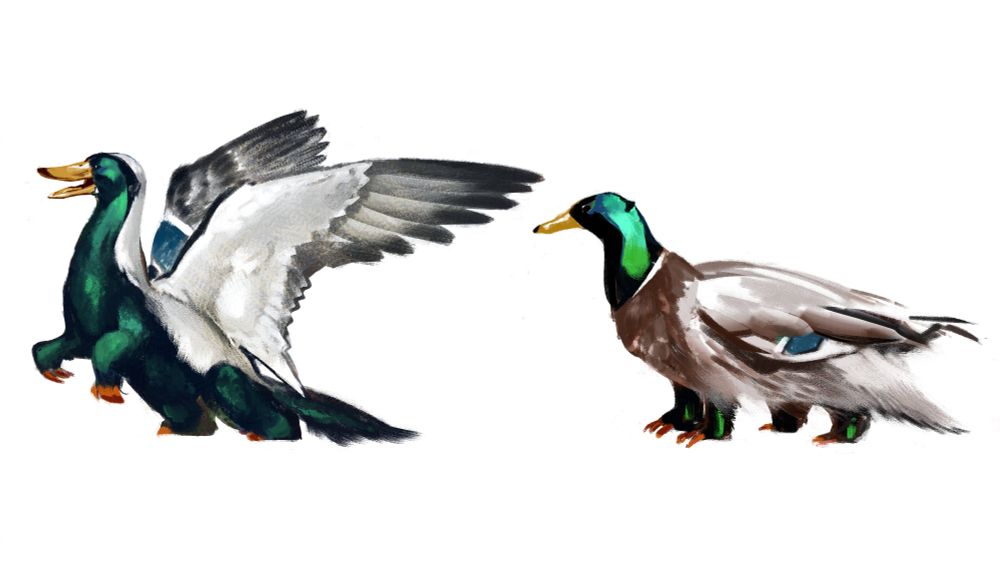 gryphon remix (duck and badger) creature design lol