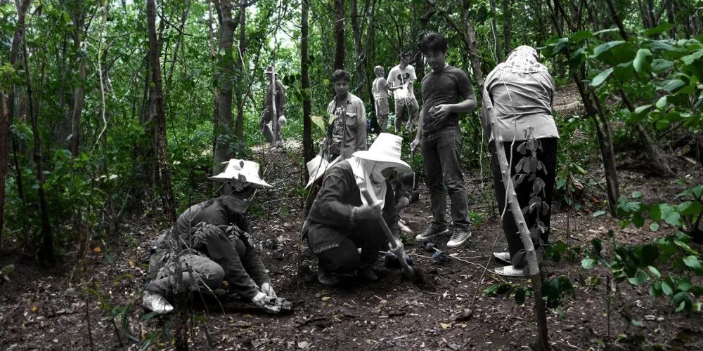 ท้องถิ่นจัดการป่า (2) แนวคิด ‘ป่าชุมชน’ และ ‘ท้องถิ่น’ อยู่ตรงไหนในการจัดการป่า?