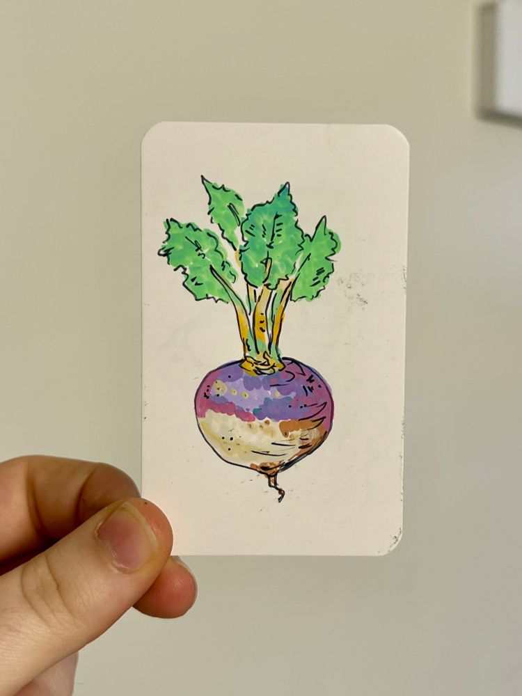 A business card sized piece of paper with a radish drawn on it with acrylic paint markers. The radish is purple of the top and white at the root