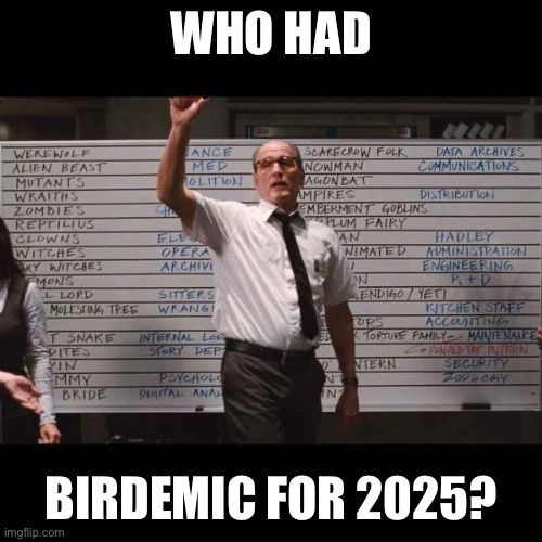 Who had Birdemic
For 2025? 