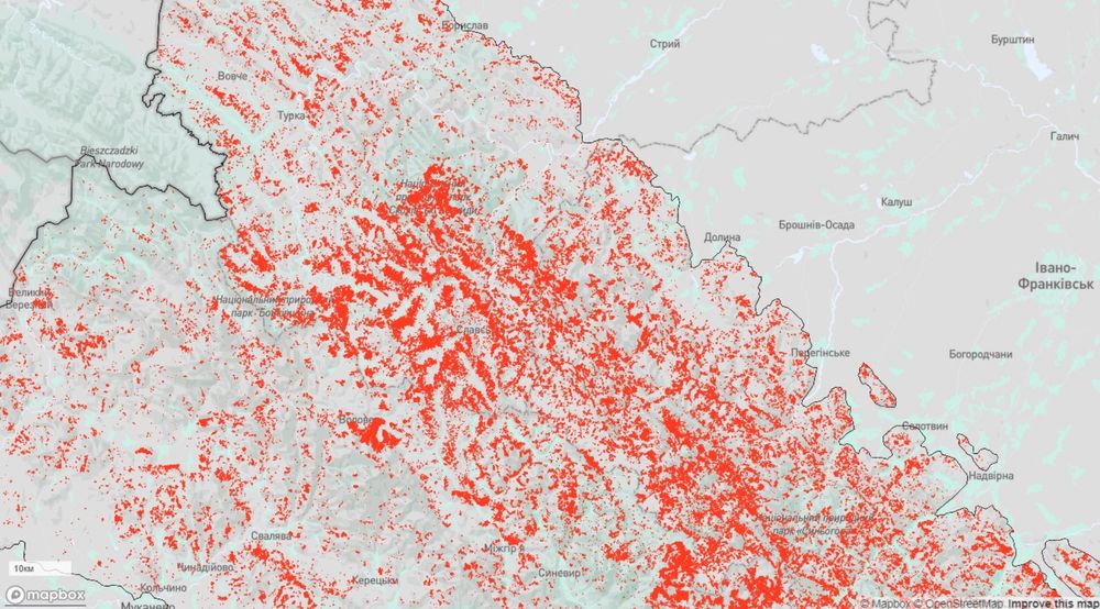 Українські Карпати втратили 10% лісів лише за останні 20 років. Інтерактивна карта втрат