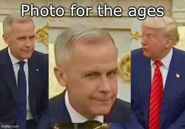 “Photo of the ages “
Image of Canadian Prime Minister  Carney on the left and the 47th on the right. In between as a close-up of Carney’s face. He has an expression of incredulity, sarcasm, disbelief, and a resolve that Canada will never be the 51st state.