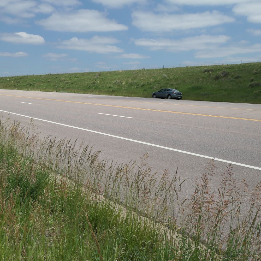 Panasonic Lumix DC-ZS200
Jefferson County, CO
6-8-25