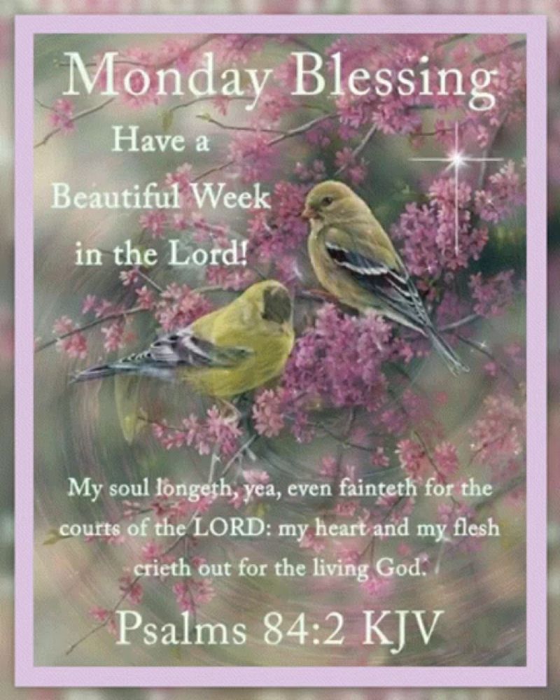 Monday Blessings GIF