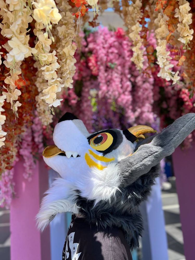 Dogg looking at flowers :3