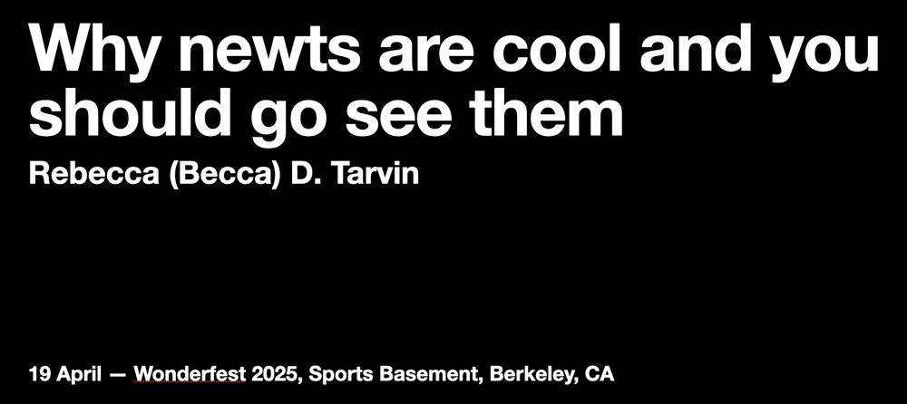 Why newts are cool and you should go see them