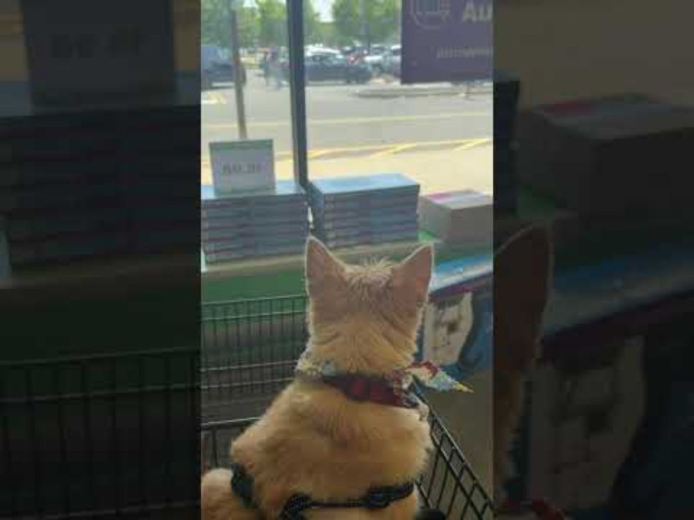 ICE Sighting - Central Islip NY