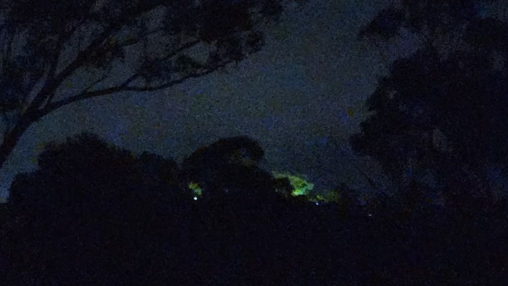 Night time picture of trees with lights shining through resembling a big nosed man with a twinkling eye regurgitating a brightly lit great white shark. Believe me! 