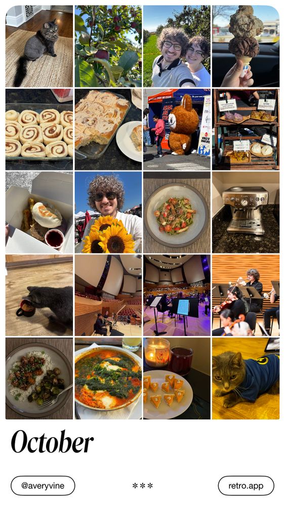 A 4x5 grid of photos representing my October activities: my dad’s cat after a trip to the vet with a silly haircut, apple picking, the largest ice cream cone I’ve ever eaten, pumpkin spice cinnamon rolls before baking, a giant Labubu mascot, takeout dumplings, sunflowers I bought, homemade pesto pasta, my new espresso machine, my cat Alfred sniffing my coffee, various pictures of my performance with the Stanford Medicine Orchestra, homemade garlic-sesame tofu, shakshuka from a restaurant, a candle with cheese and crackers assembled to look like pumpkin pie slices, and Alfred in his blue Batman-style Halloween costume.