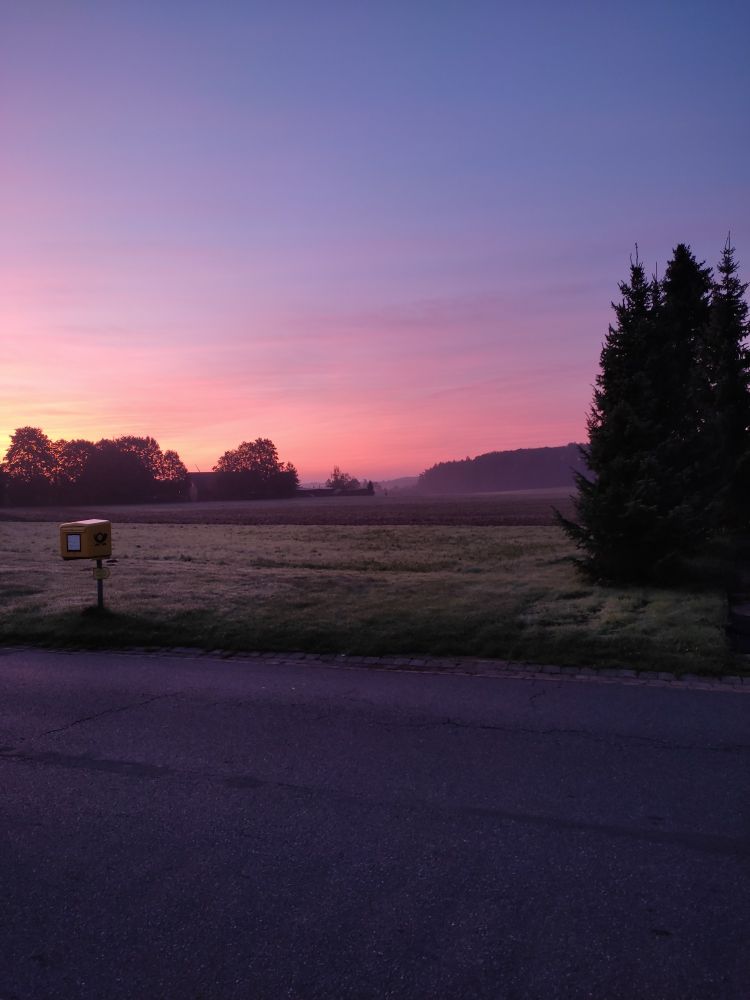 Foto. Morgenstimmung. Vorne Straße. Eine Wiese mit gelben Briefkasten. Dahinter ein Feld. Begrenzt von Bäumen. Ganz hinten zeichnet sich ein Waldstück ab. Der Himmel leuchtet in gelb, orange etwas pink - dann blau.