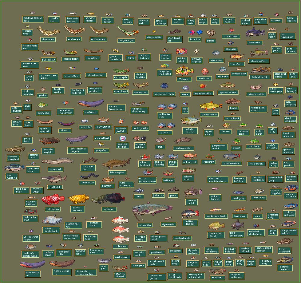 tons of river fish