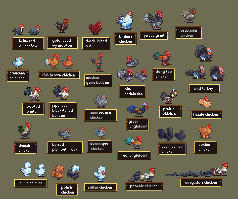 chicken breed pixelart!!