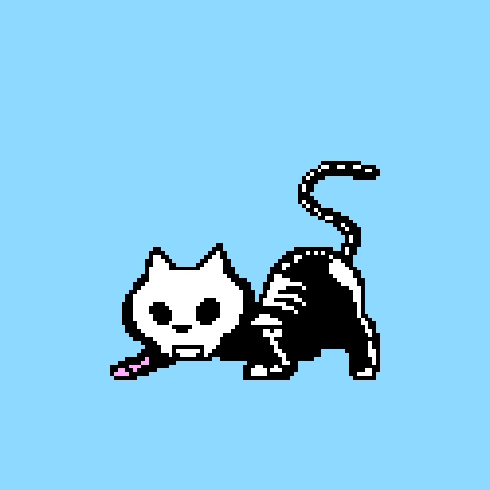 Skeleton kitty