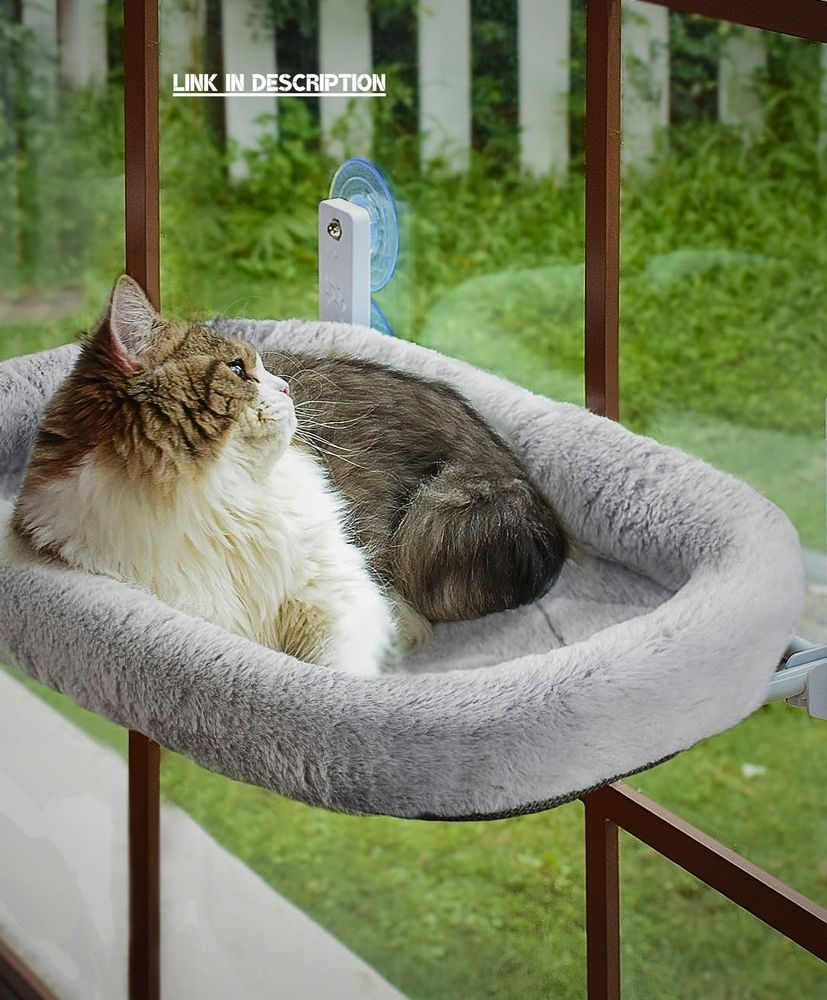 A fluffy gray and white cat is comfortably lounging on a sleek gray window-mounted hammock bed. The cat looks completely relaxed, with its front paws tucked in and its tail curled around its body. Sunlight spills through the window, lighting up its fur and casting soft shadows on the wall. Outside, you can see a blur of green trees, but the cat is clearly more focused on doing absolutely nothing—just peacefully watching the world go by. The sturdy perch is held up by four clear suction cups, blending into the glass, making it look like the cat is floating mid-air. It's the picture of cozy, lazy perfection.