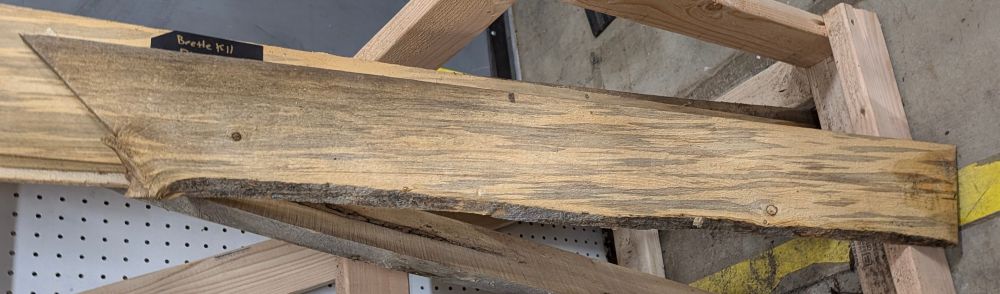 A piece of wood that is a light tan with a blue-gray streaking. The lower edge had bark on it. 