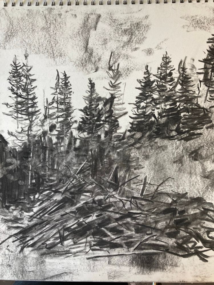 Charcoal landscape drawing