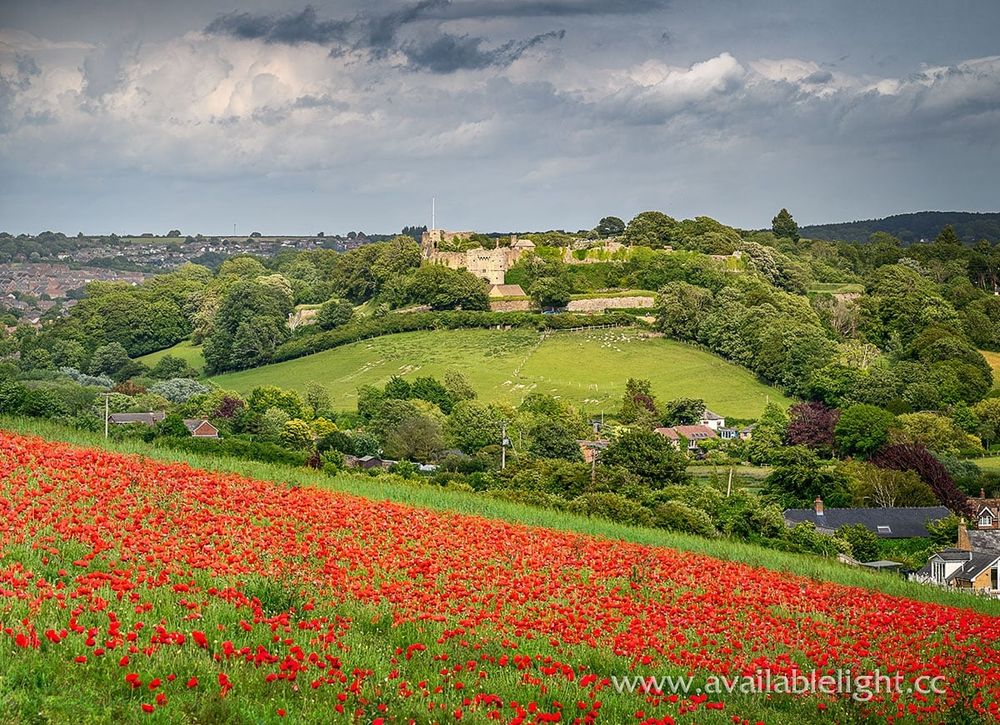 Poppies in the foreground on a slope, opposite sits a castle on a green hillside. 
