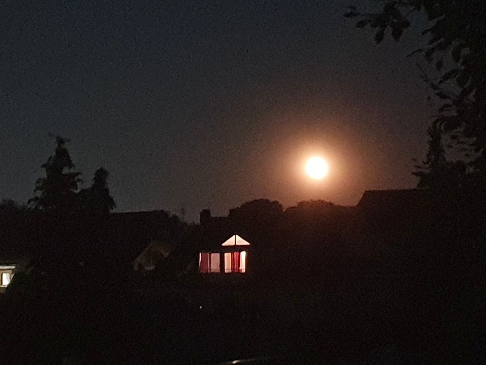 Mondaufgang über einer dunklen Siedlung. Nur 1 Haus hat erleuchtete Fenster.  Die Bäume in den Gärten zeichnen wie ein Scherenschnitt den Horizont. 