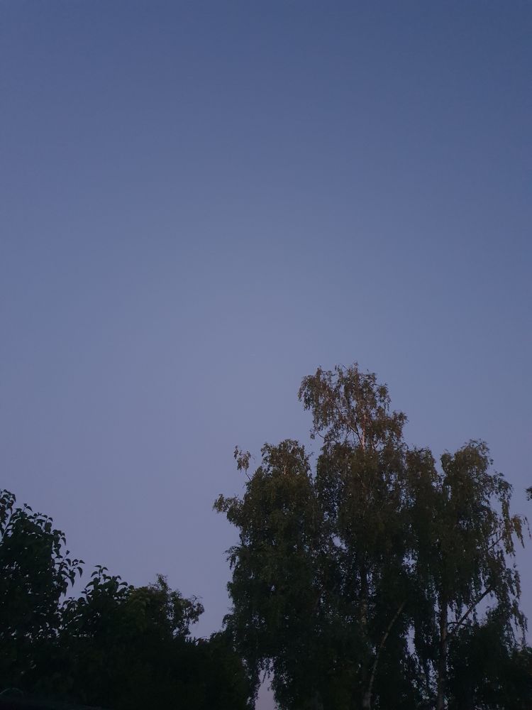 Dunkelblauen Himmel in der Dämmerung. Unten einige belaubte Bäume. 