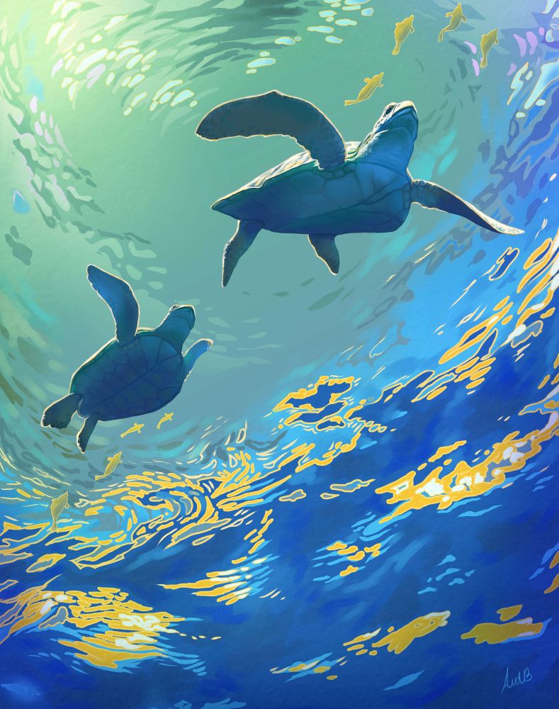 Seaturtles swimming underwater