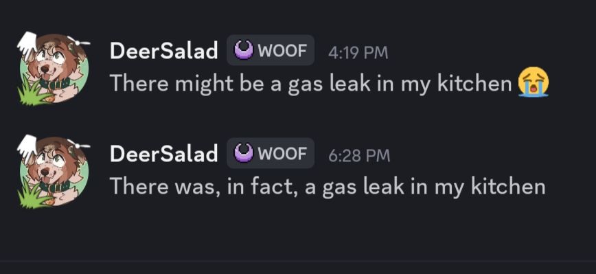 A screenshot of a discord chat, two messages sent from DeerSalad, the first at 4:19 pm and reads "there might be a gas leak in my kitchen [sobbing emoji]" the second was sent at 6:28 pm and reads "There was, in fact, a gas leak in my kitchen"
