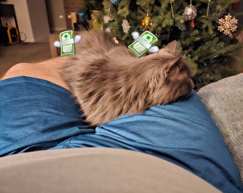 a fluffy grey long haired cat laying in-between someone's legs, the person is wearing some blue shorts, the cat has it's head and chin resting upon the persons thigh. there is a plentifully decorated Christmas tree in the background and it is late into the night. 