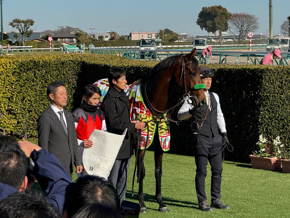 A horse and jockey pose for their winning photo
