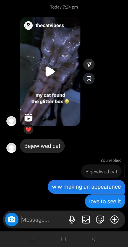 Person 1 tries saying bejeweled cat under an Instagram reel of a cat that found a glitter box and is now completely sparkly, but accidentally makes a typo, including a wlw (women loving women) in the spelling. person 2 comments on this typo by said "wlw making an appearance, love to see it"