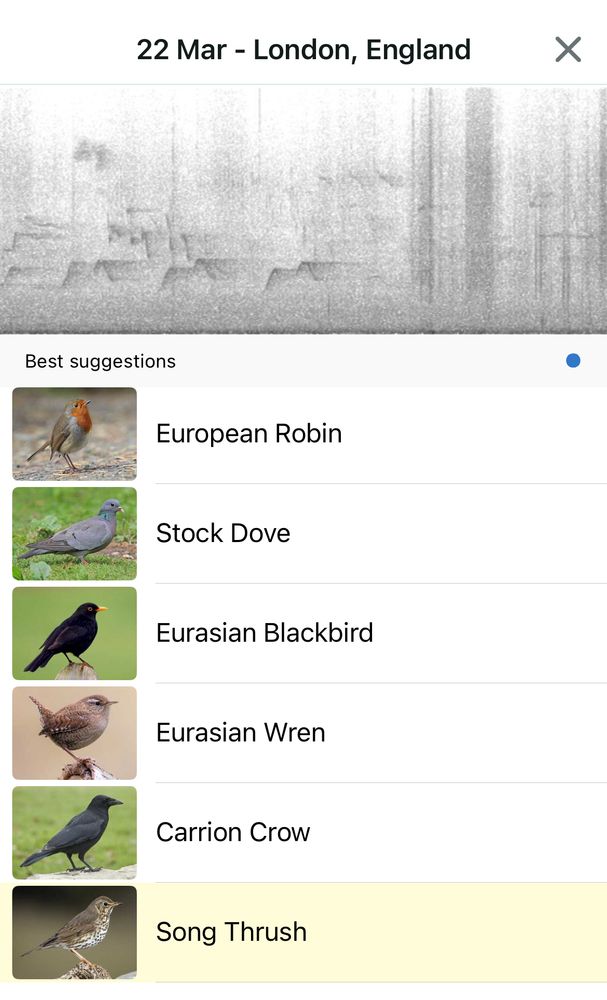 The app has listened and identified all these birds in ravenscourt park, west London , this morning

22 Mar - London, England
Best suggestions


European Robin

Stock Dove

Eurasian Blackbird

Eurasian Wren

Carrion Crow

Song Thrush