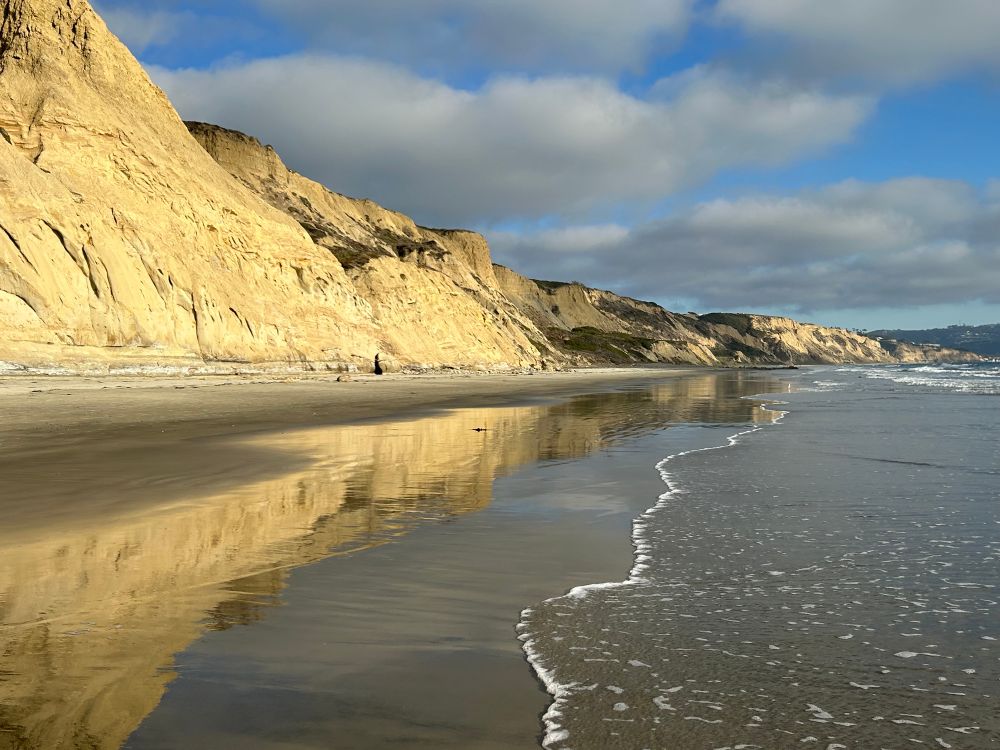 section of beach along san diego in late afternoon with golden cliffs being reflected in the wet sand and puffy clouds floating in the blue sky. there are, thankfully, no people visible on this famous nudist beach
