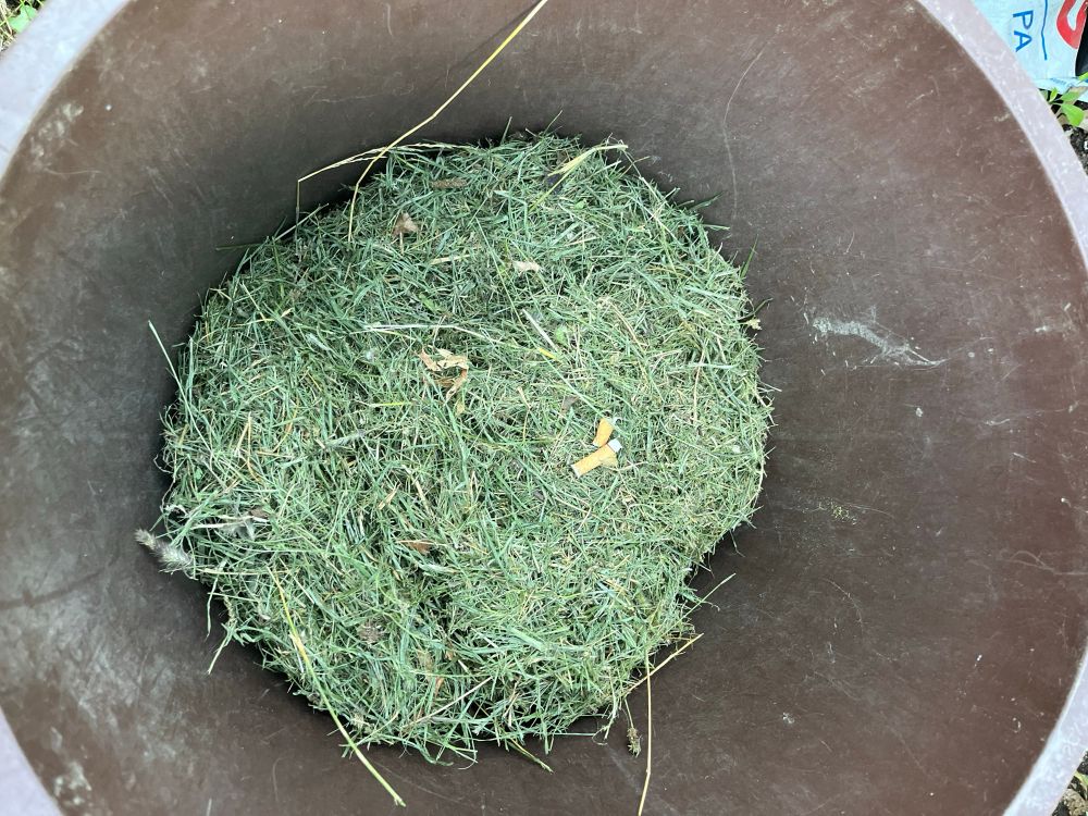 grass clippings in trash can with cigarette filters