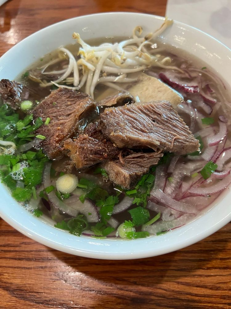 photo of a white bowl of pho on a wooden table. at the 12 o'clock position is a pile of mung bean sprouts, then sliced red onions on the right side of the bowl, which meets a mixture of cilantro and scallions at the starting at bottom of the bowl and ending back at the mung bean sprouts. in the middle is about three juicy slices of beef short rib, with the rib peeking out.