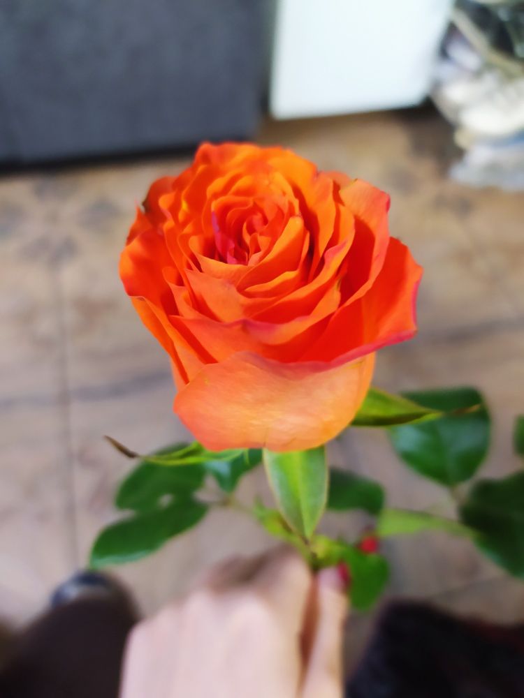Comment image