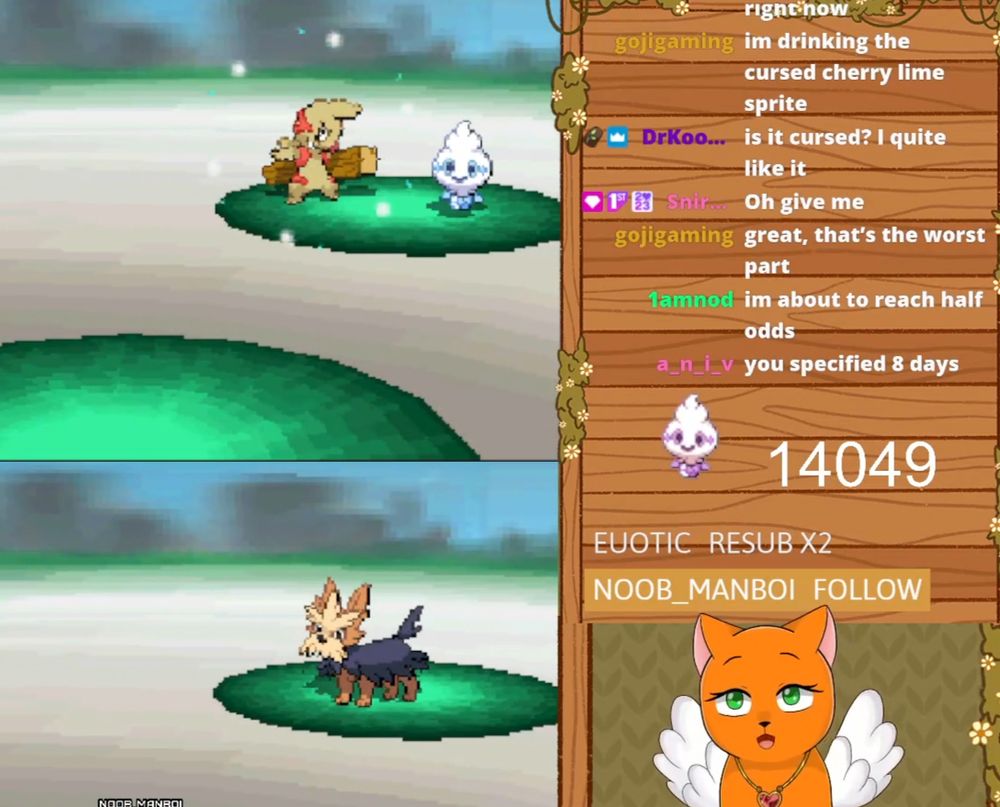 Shiny TImburr on screen with sparkle effect, a replay of the live chat is on the right, and a freeze frame of an orange cat with wings giving a shocked expression on the bottom right
