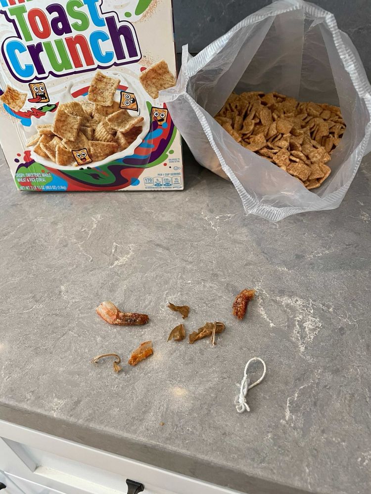 some shrimp tails and a piece of string that seem to have come out of a box of cinnamon toast crunch