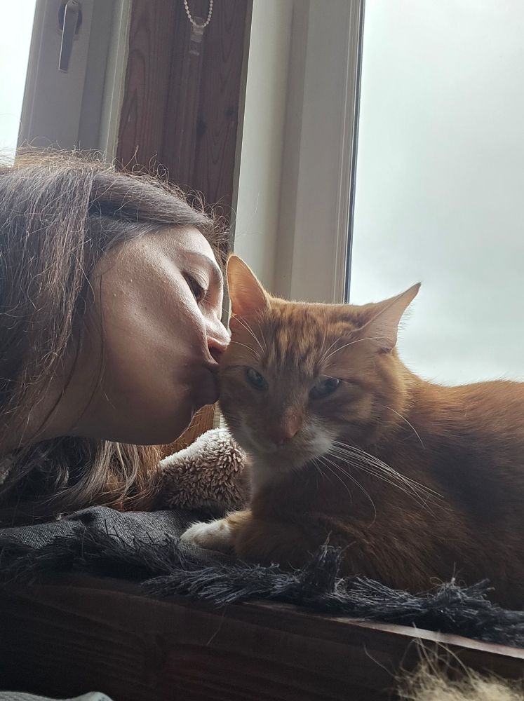 A selfie of me kissing Clarence on the cheek, he is looking straight at the camera