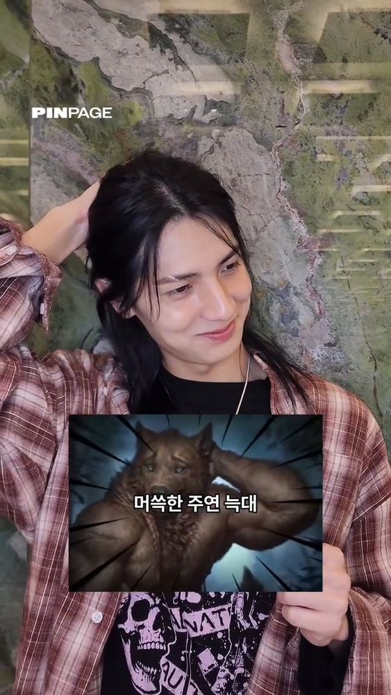 jooyeon wolf meme 