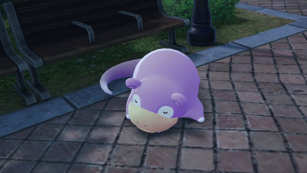 Rose, mon Ramoloss chromatique, qui fait bien dodo.