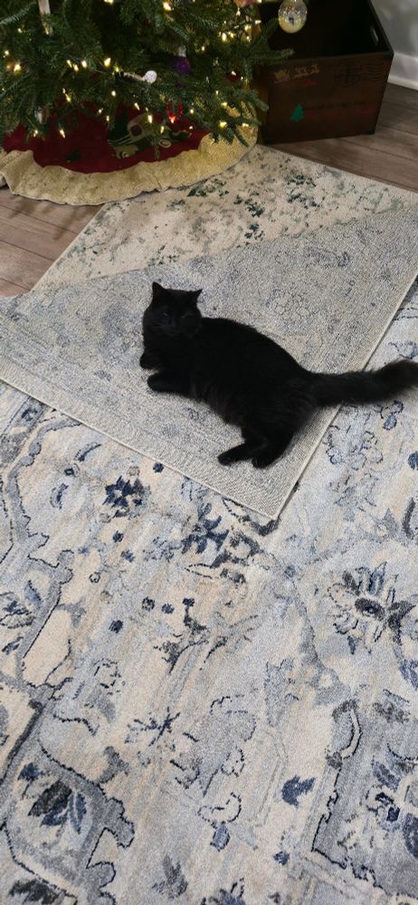 No, you're not in the way.