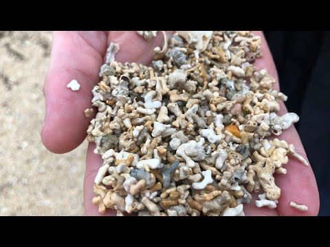 Incredible Maerl!