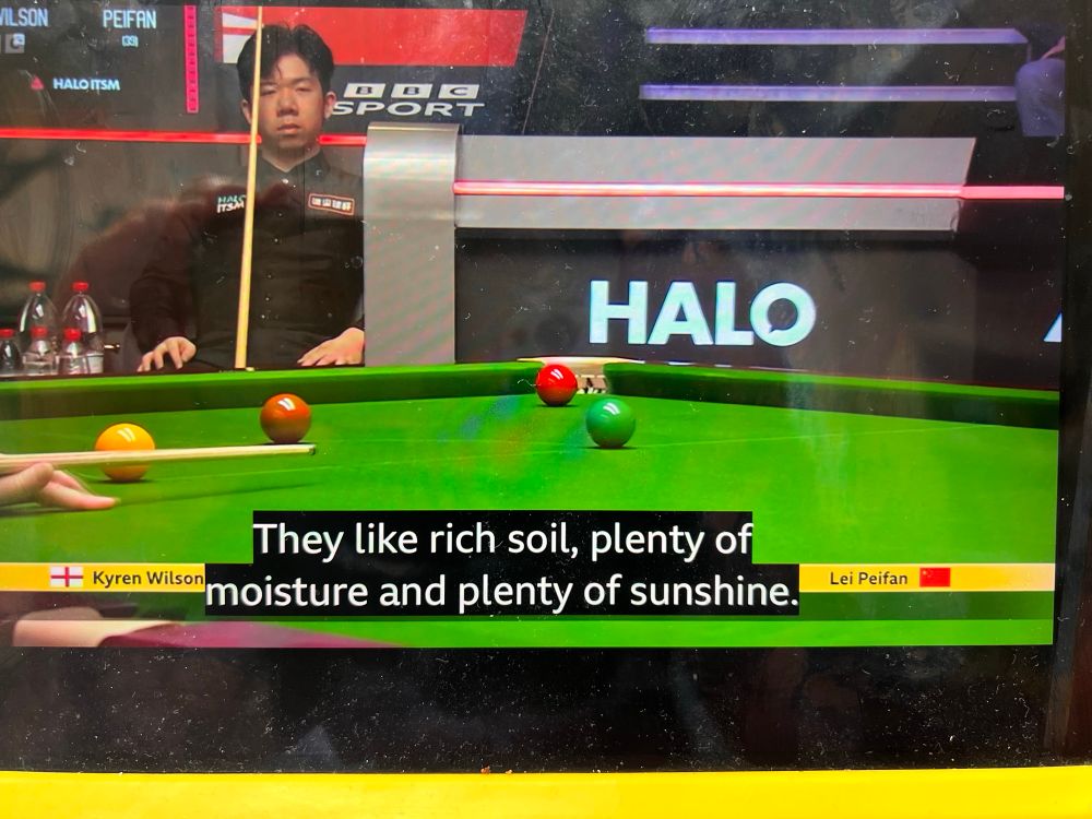 Further photo of snooker, with the subtitles ‘They like rich soil, plenty of moisture and plenty of sunshine’