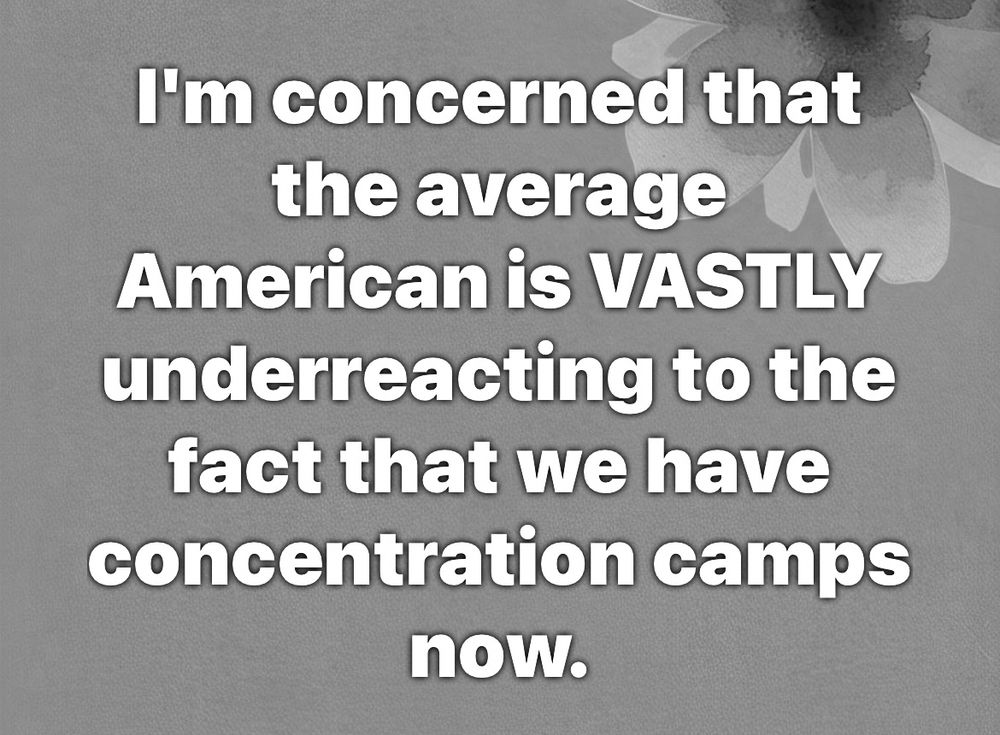 I'm concerned that the average American is VASTLY underreacting to the fact that we have concentration camps now.