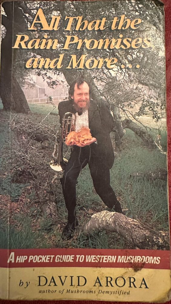 My well loved copy of "All That the Rain Promises and More..." by David Arora