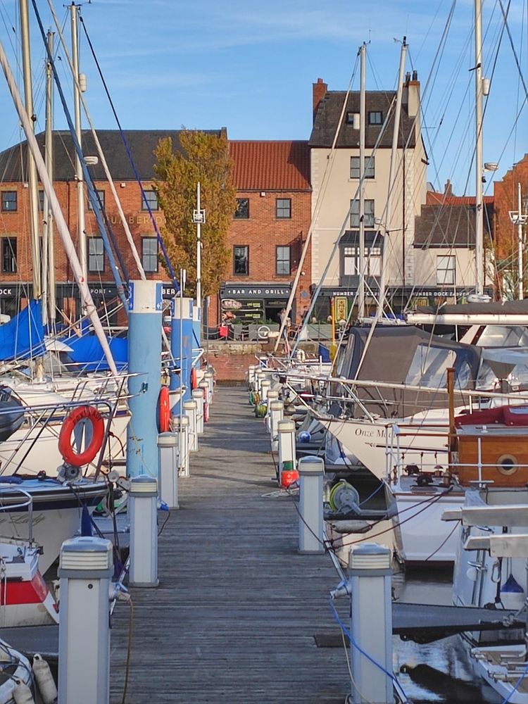 Hull Marina 