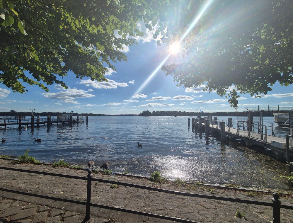Blick über den Tegeler See von der Greenwich Promenade aus. Rechts und links am Bildrand sind Bootsstege, der Himmel ist blau mit weißen Wölkchen und die Sonne scheint durch die Blätter der Bäume am oberen Bildrand. 