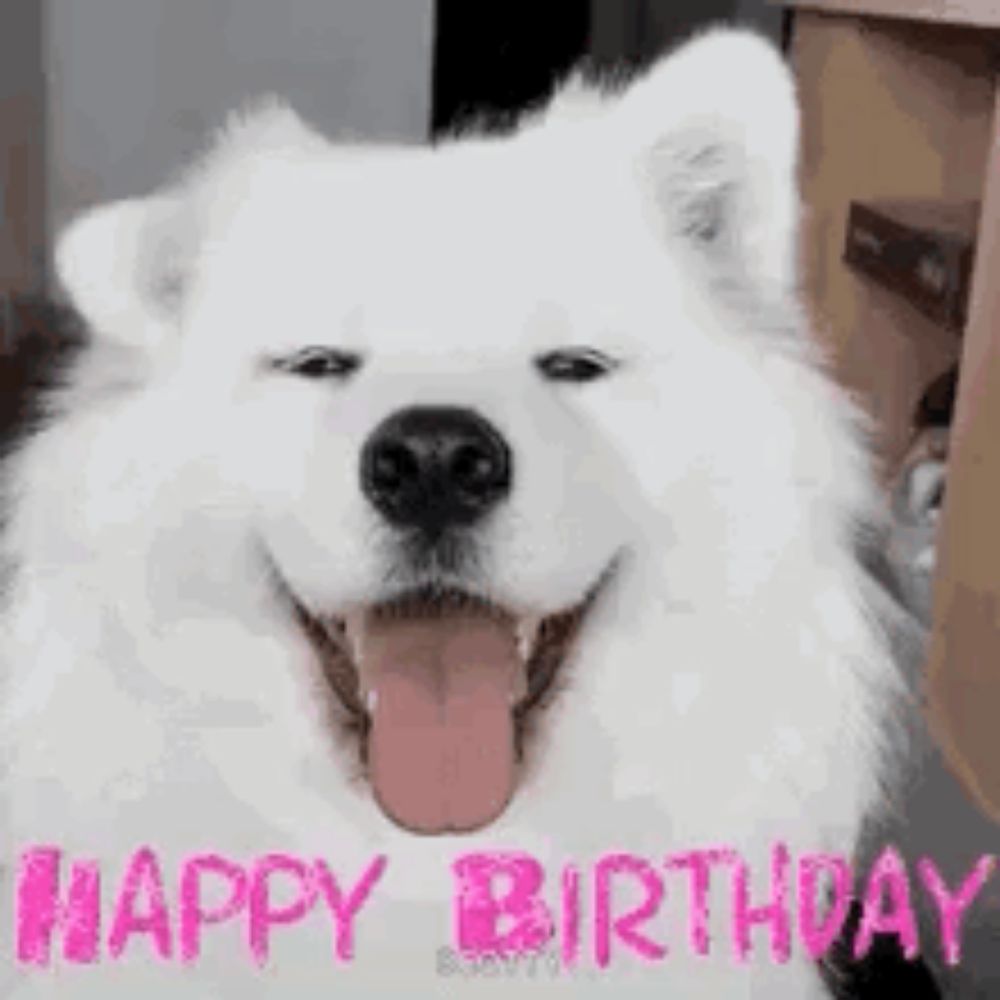 a white dog with its tongue hanging out and the words `` happy birthday '' written in pink .