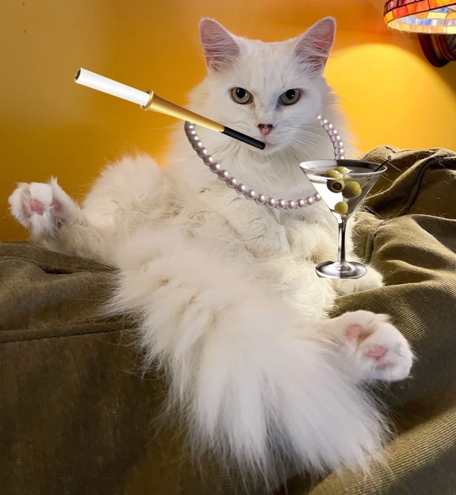 Francie, a fluffy white cat lounges on the sofa back. She wears a strand of pearls and is holding a very dirty martini, and smoking, yes smoking a ciggy on a very elegant long holder.  She is invoking audrey hepburn.