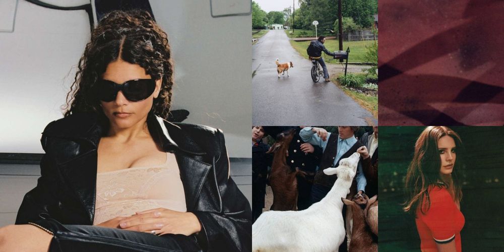 Erika de Casier Silver Jews The Beach Boys SMERZ Lana Del Rey